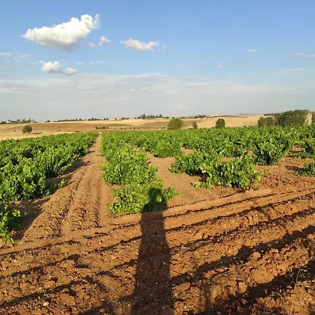 Vinarius, Rural *