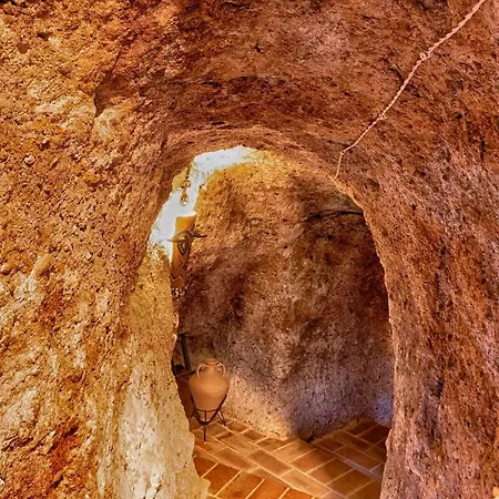 Vinarius - Exclusiva Rural Con Cava Romana Del Siglo Iii Y Manantial Castellanos de Villiquera