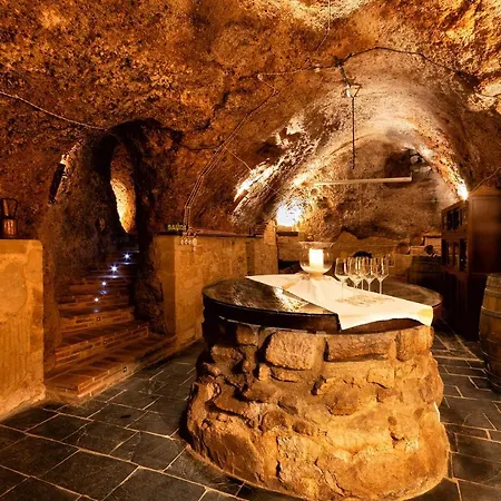 Vinarius - Exclusiva Rural Con Cava Romana Del Siglo Iii Y Manantial * Castellanos de Villiquera