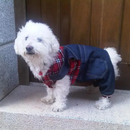 Vinarius, Rural * Castellanos de Villiquera