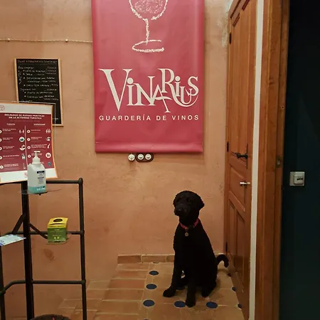 Vinarius, Rural * Castellanos de Villiquera