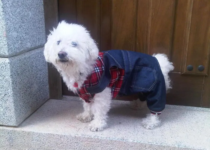 Vinarius, Rural * Castellanos de Villiquera