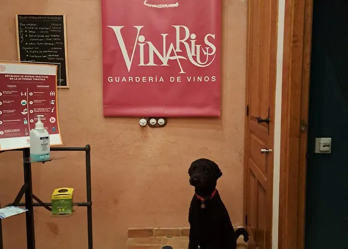 Vinarius, Rural * Castellanos de Villiquera